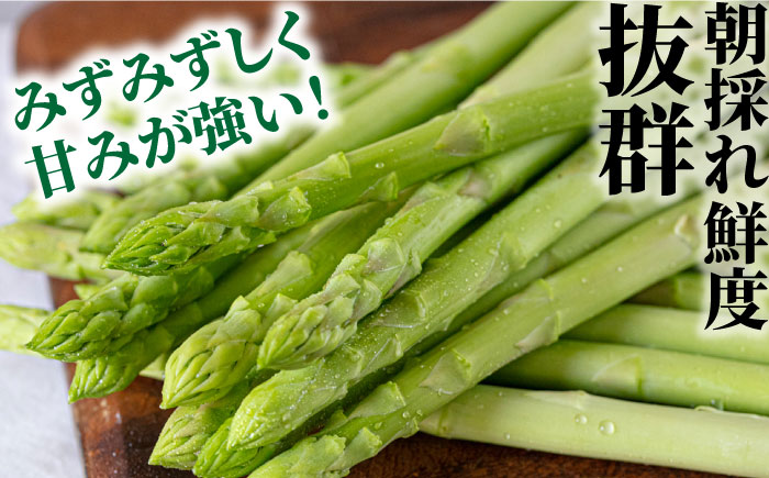 【3回定期便】【星のアスパラ】春・夏 の グリーン アスパラガス 約1kg / アスパラ 野菜 / 南島原市 / ほしのYA [SEY016]