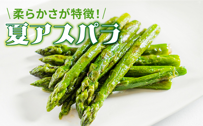 【2026年6月初回発送】【3回定期便】【星のアスパラ】夏のグリーンアスパラガス 約1kg / アスパラ 野菜 / 南島原市 / ほしのYA [SEY014]