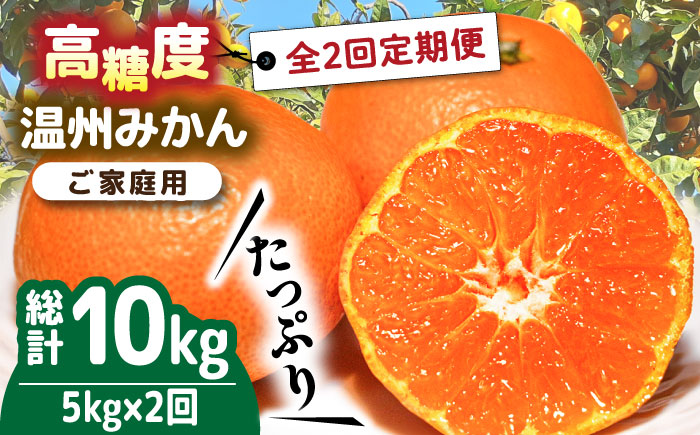 【2024年12月〜発送】【大満足！ 2回 定期便 】温州みかん 約5kg / みかん 定期便 ミカン 蜜柑 長崎県産みかん 糖度 果物 くだもの 果物定期便 フルーツ ふるーつ フルーツ定期便 旬 家庭用 5kg / 南島原市 / 南島原果物屋 [SCV017]