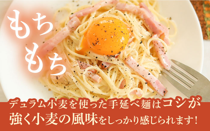 手延べ太麺パスタ 1.5kg (50g×30束) / パスタ ぱすた スパゲッティ 麺 乾麺 / 南島原市 / 池田製麺工房 [SDA069]