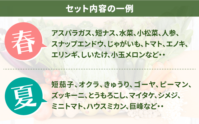 【12回定期便】豪華！野菜 セット 15品目以上 / 野菜 定期便 やさい 定期便 野菜セット やさいセット 春野菜 夏野菜 秋野菜 冬野菜 旬 / 南島原市 / 吉岡青果 [SCZ019]