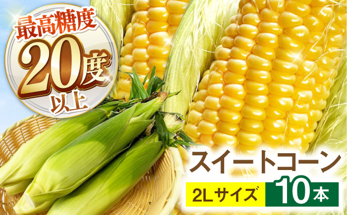 【2026年6月～発送】【最高糖度20度以上！】とうもろこし 2Lサイズ 10本 / ゴールドラッシュネオ トウモロコシ コーン スイートコーン / 南島原市 / 三和サービス株式会社 [SGB008]