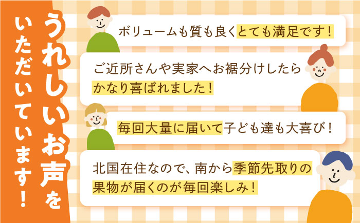 【年6回 旬のフルーツ定期便】旬の果物をお任せで6回お届け / みかん ぶどう びわ すいか 梨 いちご メロン キウイなど / フルーツ 定期便 ふるーつ定期便 フルーツ 詰め合わせ 果物定期便 春フルーツ 夏フルーツ 秋フルーツ 冬フルーツ / 南島原市 / 長崎県農産品流通合同会社 [SCB010]