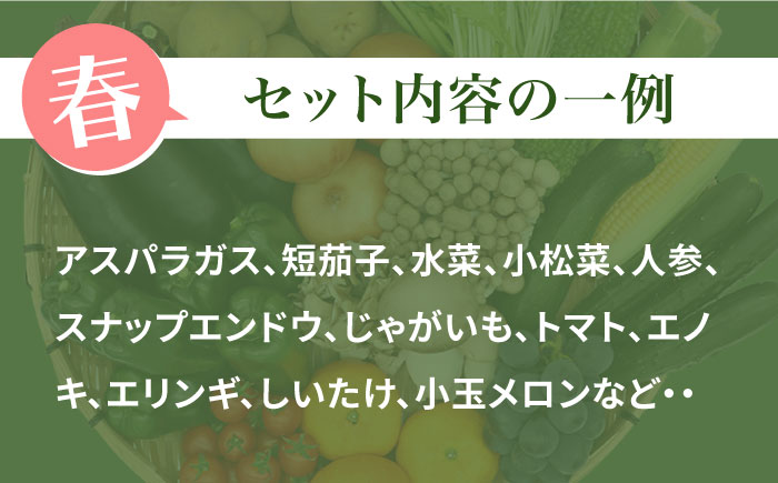 野菜・フルーツ・キノコ詰め合わせ 15品目以上 / 野菜 やさい フルーツ ふるーつ 果物 くだもの きのこ キノコ 詰め合わせ セット / 南島原市 / 吉岡青果 [SCZ001]