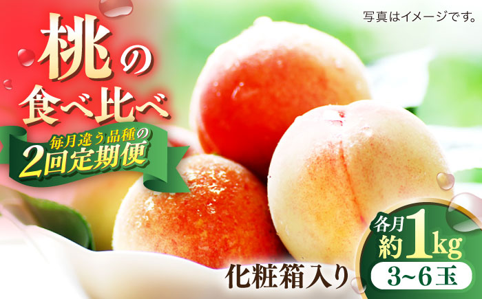 【2回定期便】南島原の桃を食べ比べ 化粧箱入り 計2kg 日川白鳳 夢富士 あかつき なつっこ / 桃 もも ハウス桃 フルーツ 果物 / 南島原市 / ふくはちファーム [SBS001]
