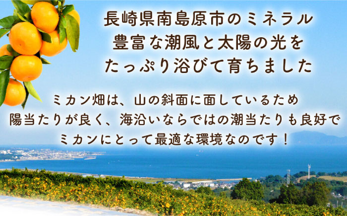 【2024年10月中旬〜発送】こだわりの温州みかん 約8kg / みかん フルーツ 柑橘 蜜柑 ミカン 果物 くだもの / 南島原市 / 長崎県農産品流通合同会社 [SCB037]