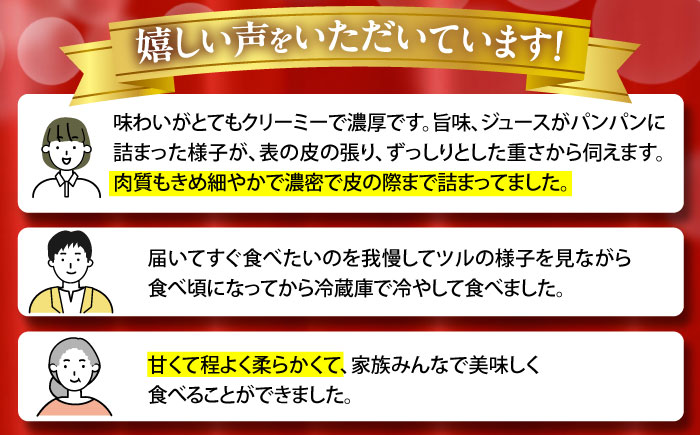 【2025年3月中旬〜発送】【平成新山メロンPREMIUM（とみちゃん厳選）】パパイヤメロン 6〜8玉 約5Kg / メロン めろん 青肉 糖度 果物 くだもの フルーツ ふるーつ 旬 高級 ギフト  / 南島原市 / うえだメロン園 [SAD007]