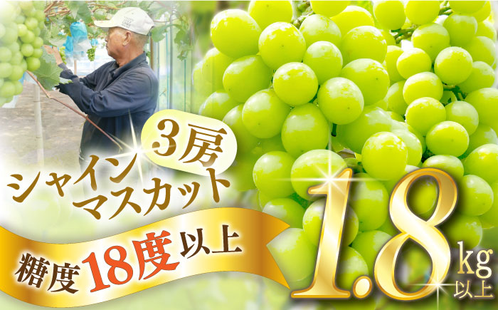 【2025年8月中旬〜発送】【数量限定】【糖度18度以上】シャインマスカット 3房 1.8kg以上 / ぶどう ブドウ 葡萄 マスカット しゃいんますかっと フルーツ 果物 / 南島原市 / ミナサポ [SCW072]