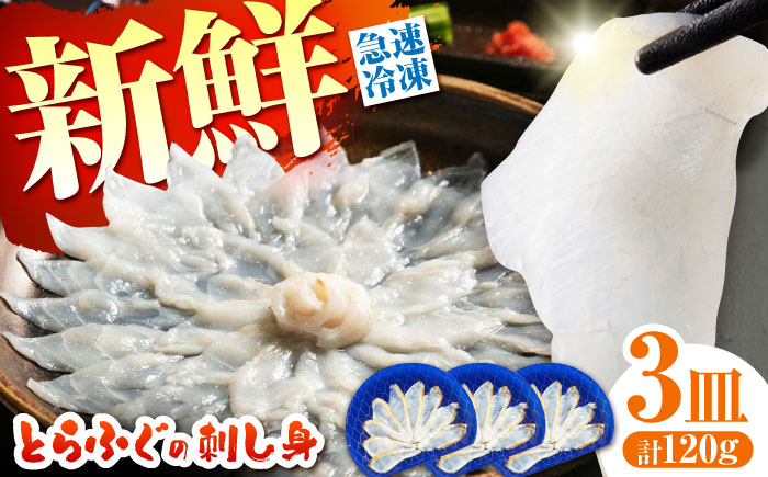 【新鮮！贅沢おつまみ】ふぐ 刺身 ふぐ刺し トラフグのてっさ（小皿/40g）×3枚/ とらふぐ 刺身 紅葉おろし トラフグ ふぐ フグ 河豚 刺し身 ふぐ刺し / 南島原市 / 株式会社 FUKUNOTANE [SFJ035]