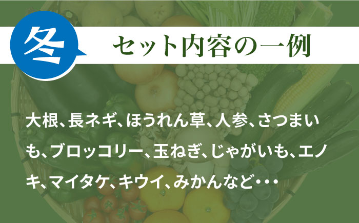 野菜・フルーツ・キノコ詰め合わせ 15品目以上 / 野菜 やさい フルーツ ふるーつ 果物 くだもの きのこ キノコ 詰め合わせ セット / 南島原市 / 吉岡青果 [SCZ001]