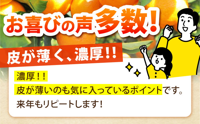 【2026年10月下旬～発送】温州みかん 10kg / みかん ミカン 蜜柑 フルーツ 果物 / 南島原市 / 蜜柑屋まつお [SCQ002]