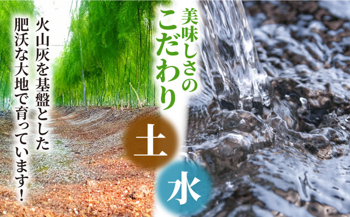 【3回定期便】【星のアスパラ】春・夏・秋 の グリーン アスパラガス 約1kg / アスパラ 野菜 / 南島原市 / ほしのYA [SEY013]