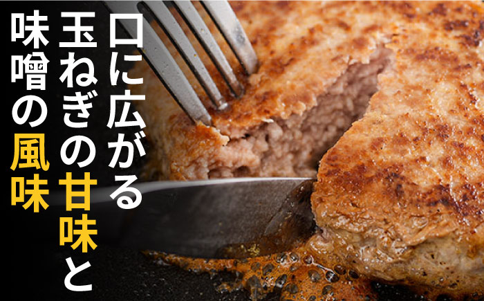 【長崎じげもん豚】はちみつ味噌 ハンバーグ（10個）/  はんばーぐ 小分け 冷凍  / 南島原市 / 溝田精肉店 [SBP001]