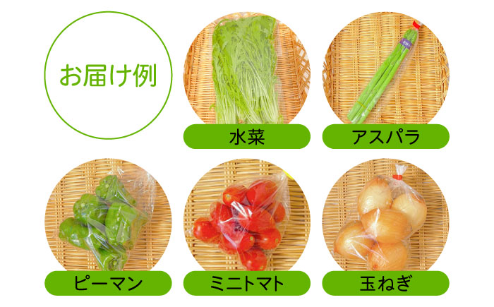 【6回定期便】直売所より発送！季節の野菜セット 7〜10品目 / 野菜定期便 やさい定期便 野菜 やさい 旬 詰め合わせ / 南島原市 / ながさき南部生産組合 [SBW004]