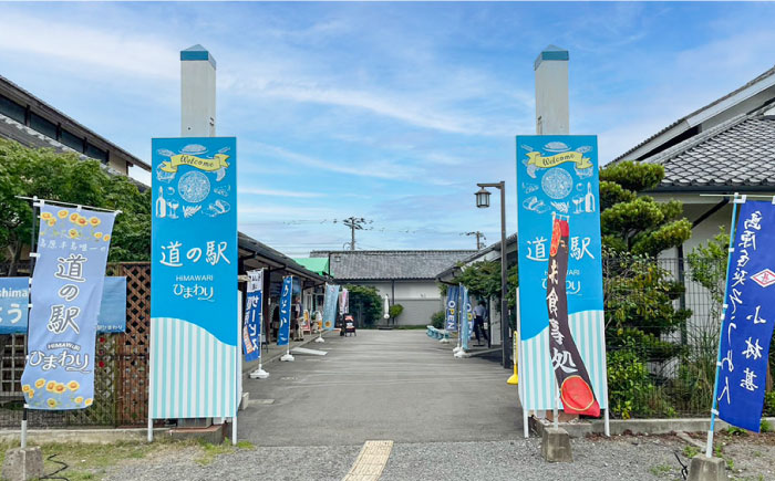 長崎名物ちゃんぽん 食べ比べ4種 10食 / ちゃんぽん 長崎ちゃんぽん 麺 とんこつ / 南島原市 / 道の駅ひまわり [SFR003]