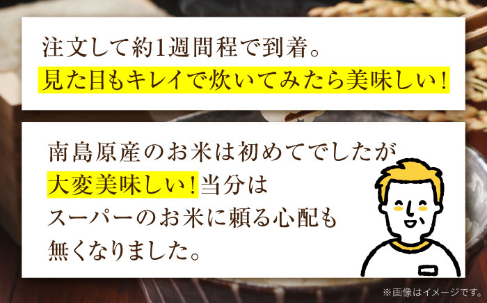 米【2か月毎定期便】10kg×6回 定期便 / ひのひかり 米 お米 こめ コメ 精米 精米 白米 お米 ライス ごはん 米 こめ ご飯 国産 お取り寄せ  / 南島原市 / 林田米穀店 [SCO005]