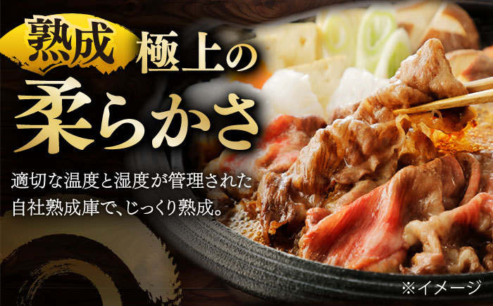 国産 黒毛和牛 熟成肉 切り落とし 500g / 小分け 国産牛 お肉 牛肉 切落し 冷凍 焼肉 すき焼き / 南島原市 / ふるさと企画 [SBA094]