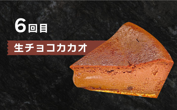 【6回定期便】 よしだのバスクチーズ 食べ比べ / ケーキ タルトケーキ スイーツ デザート 洋菓子 スペイン菓子職人が作る / 南島原市 / 吉田菓子店 [SCT035]