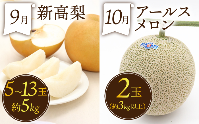 【3回定期便】フルーツ定期便 果物屋が選ぶ旬のフルーツ いちご メロン びわ みかん 梨 柿 など / 果物定期便 フルーツ 定期便 果物 春フルーツ 夏フルーツ 秋フルーツ 冬フルーツ / 南島原市 / 贅沢宝庫 [SDZ024]