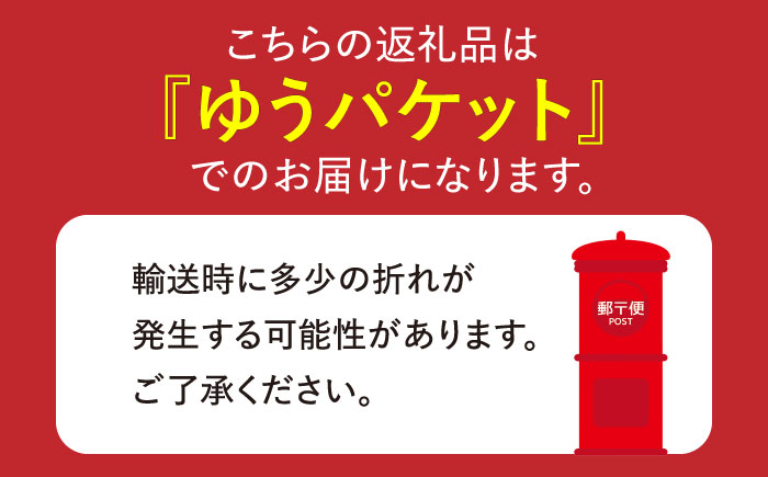 【子供の口に入れても安心・安全】島原手延べそうめん　5束入り×2袋 / 手延べそうめん 素麺 そうめん ソーメン / 南島原市 / 株式会社 松盛 [SFO001]