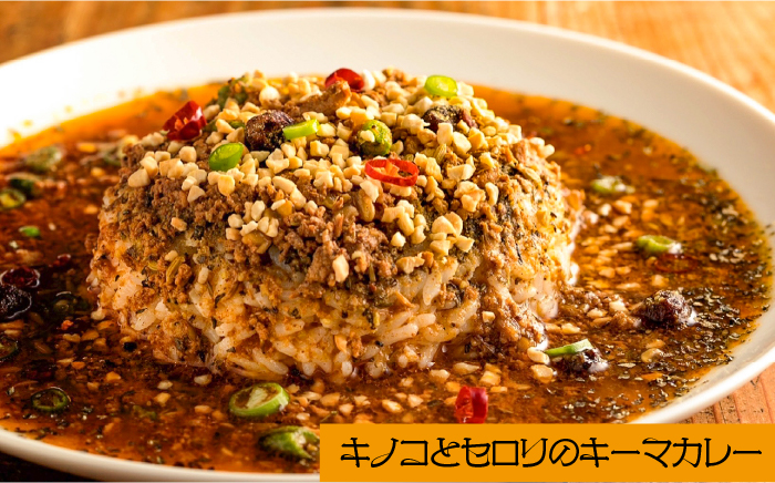 スパイスカレー 食べ比べセット 3種類 150g×各2 計 6パック  / バターチキンカレー グリーンカレー キノコとセロリの キーマカレー  カレー 南島原市 / はなぶさ [SCN051]