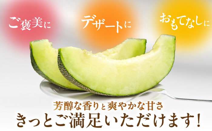 【2026年7月初旬〜発送】グリーンメロン 2玉 約4kg / メロン めろん 果物 フルーツ / 南島原市 / うえだメロン園 [SAD010]