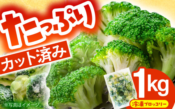 たっぷり 冷凍 ブロッコリー 1kg / ブロッコリー ぶろっこりー 野菜 やさい 小分け 冷凍 / 南島原市 / 池田海陸物産 [SEW006]