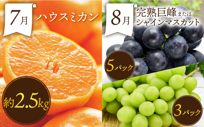 【3回定期便】フルーツ定期便 果物屋が選ぶ旬のフルーツ いちご メロン びわ みかん 梨 柿 など / 果物定期便 フルーツ 定期便 果物 春フルーツ 夏フルーツ 秋フルーツ 冬フルーツ / 南島原市 / 贅沢宝庫 [SDZ024]