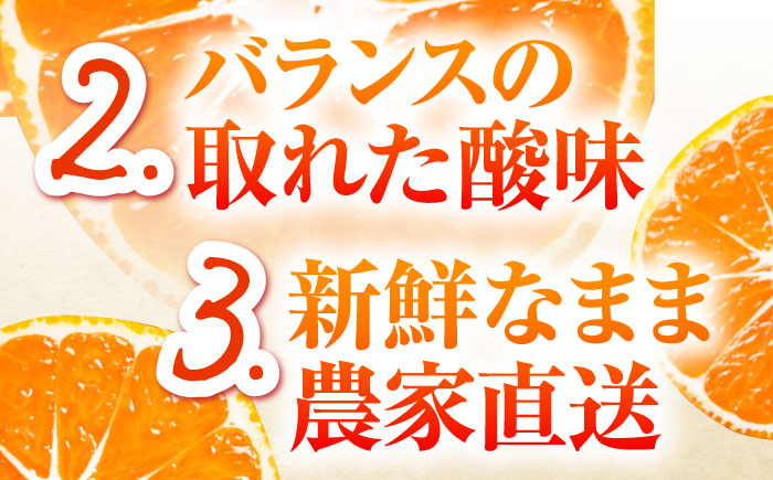 【2026年10月下旬～発送】温州みかん 5kg / みかん ミカン 蜜柑 フルーツ 果物 / 南島原市 / 蜜柑屋まつお [SCQ001]