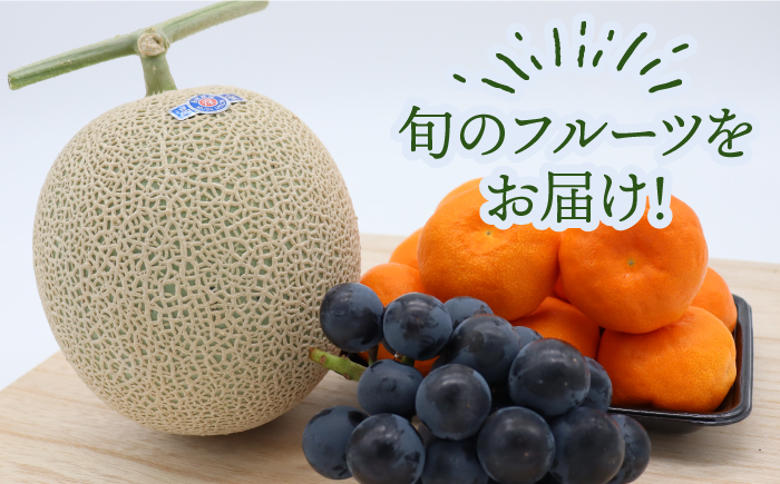 【6回定期便 隔月】フルーツ定期便 旬の果物 詰め合わせ 季節の果物をお任せで2〜3品目お届け（2〜3品目×6回）/ 定期便 フルーツ 果物 春フルーツ 夏フルーツ 秋フルーツ 冬フルーツ / 南島原市 / 吉岡青果 [SCZ016]