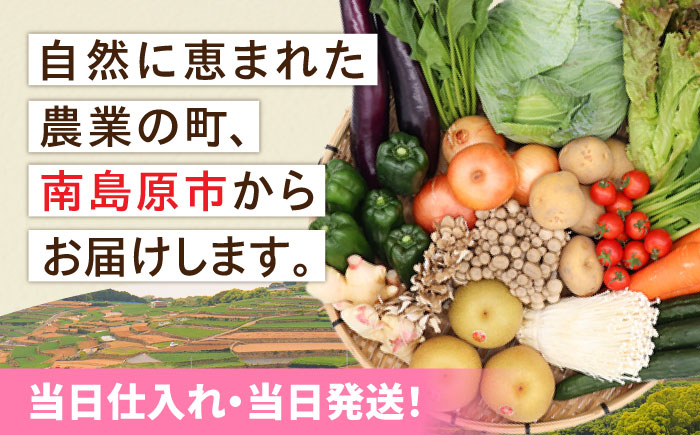 【毎月24回コース】豪華！野菜 セット 15品目以上 24回 定期便  / 野菜 フルーツ きのこ 詰め合わせ 南島原市 / 吉岡青果 [SCZ003]