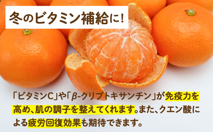 【2024年11月下旬〜発送】【高糖度】 温州みかん 約5kg / みかん ミカン 蜜柑 長崎県産みかん 糖度 果物 くだもの フルーツ ふるーつ 旬 家庭用 5kg / 南島原市 / 南島原果物屋 [SCV011]