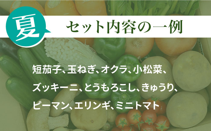 【毎月コース】野菜 キノコ 10品目以上 詰め合わせ 3回定期便 / 野菜定期便 やさい定期便 きのこ セット 定期便 / 南島原市 / 吉岡青果 [SCZ022]