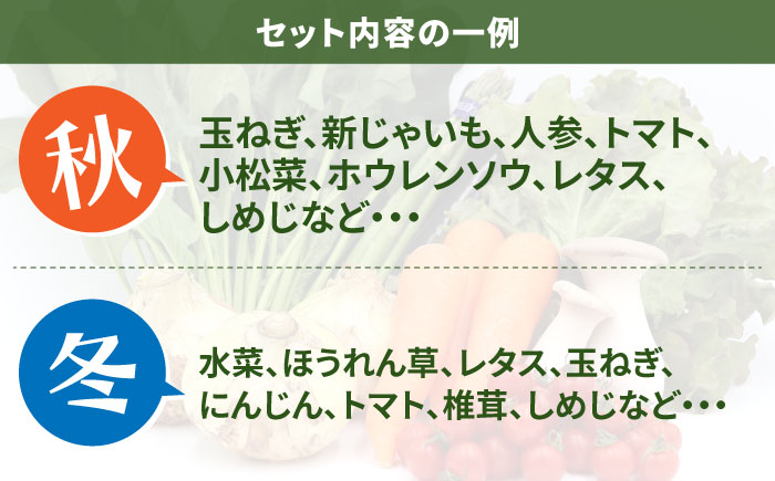 【6回定期便】お試し野菜セット 8品目 詰め合わせ / 野菜 やさい ヤサイ 旬 新鮮 / 南島原市 / 吉岡青果 [SCZ029]