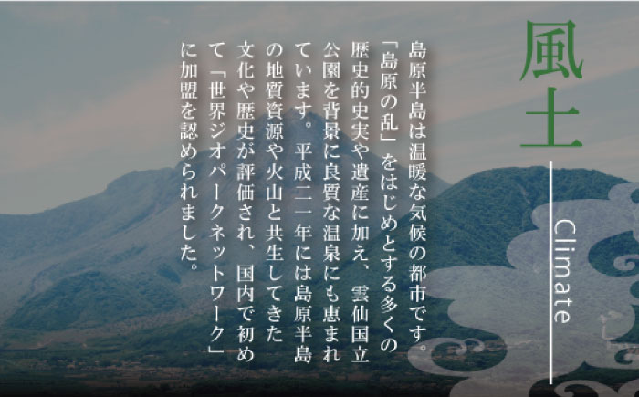 【コシの強さ・のど越しは逸品!】 こだわりの麺匠が創る 島原 手延 素麺 8kg（50g×160束）/ そうめん ソーメン 麺 / 南島原市 / ふるさと企画 [SBA070]