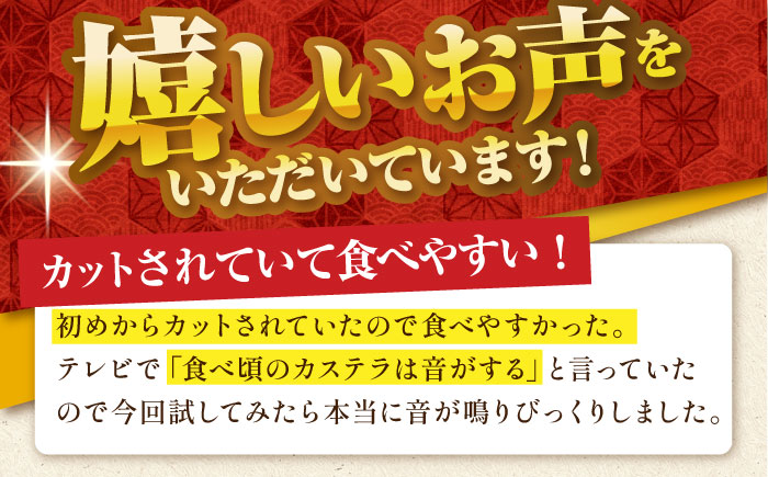 【6回定期便】【濃厚で上品な甘み】和三盆糖「長崎五三焼かすてら」1本（極上） 伊藤代二作＜烏骨鶏卵使用＞ / かすてら カステラ 長崎かすてら 長崎カステラ お土産 お菓子 ギフト 贈り物 贈答用 五三焼 スイーツ 菓子 / 南島原市 / 株式会社須崎屋 [SCA011]