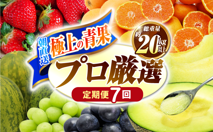【7回コース】果物屋が選ぶ旬のフルーツ定期便 いちご メロン びわ みかん 梨 柿 など / 南島原市 / 贅沢宝庫 [SDZ059]