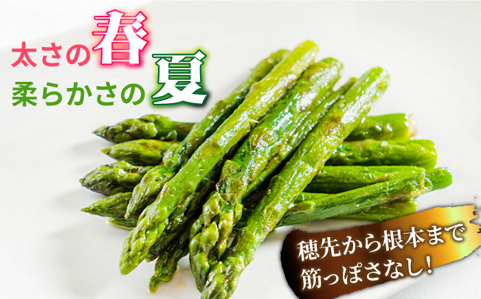 【5回定期便】【星のアスパラ】春＆夏 の グリーン アスパラガス 約1kg / アスパラ 春野菜 野菜 / 南島原市 / ほしのYA [SEY017]