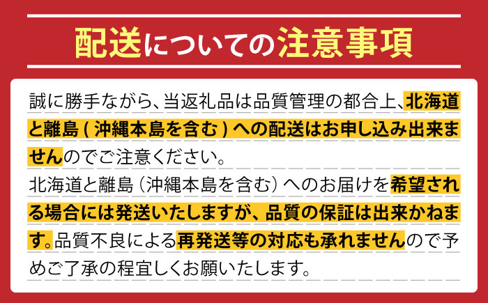 【2026年6月中旬～発送】肥後 グリーンメロン 大玉 2玉 (合計4kg以上) / メロン めろん フルーツ 果物 / 南島原市 / 長崎県農産品流通合同会社 [SCB063]