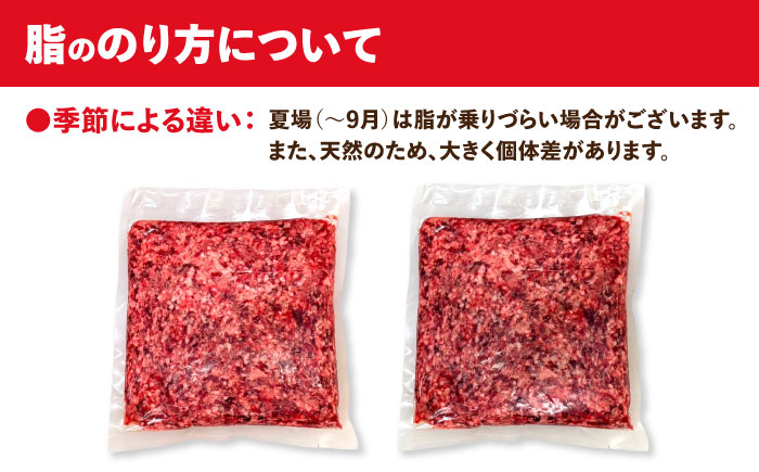 猪肉 ミンチ 2kg 雲仙いのしし / ひき肉 肉 イノシシ ジビエ いのしし ハンバーグ / 南島原市 / もりのめぐみ [SDB013]