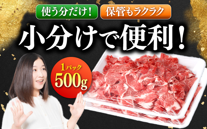 国産 黒毛和牛 熟成肉 切り落とし計1kg（500g×2パック）/ 小分け 国産牛 お肉 牛肉 切落し 冷凍 焼肉 すき焼き / 南島原市 / ふるさと企画 [SBA093]