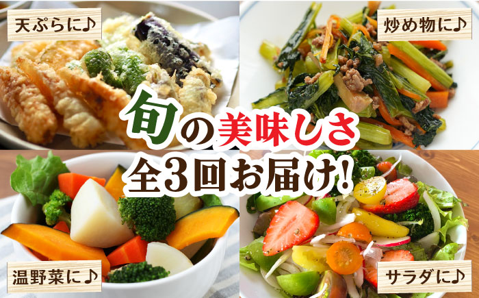 【毎月コース】野菜 キノコ 10品目以上 詰め合わせ 3回定期便 / 野菜定期便 やさい定期便 きのこ セット 定期便 / 南島原市 / 吉岡青果 [SCZ022]