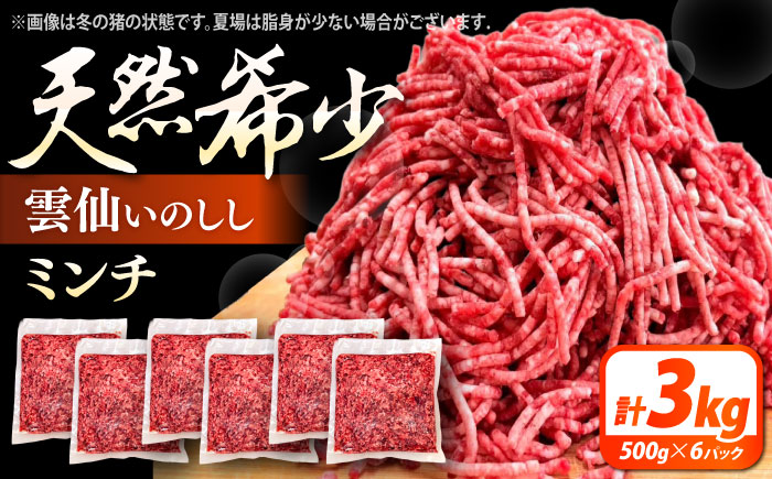 猪肉 ミンチ 3kg 雲仙いのしし / ひき肉 肉 イノシシ ジビエ いのしし ハンバーグ / 南島原市 / もりのめぐみ [SDB014]