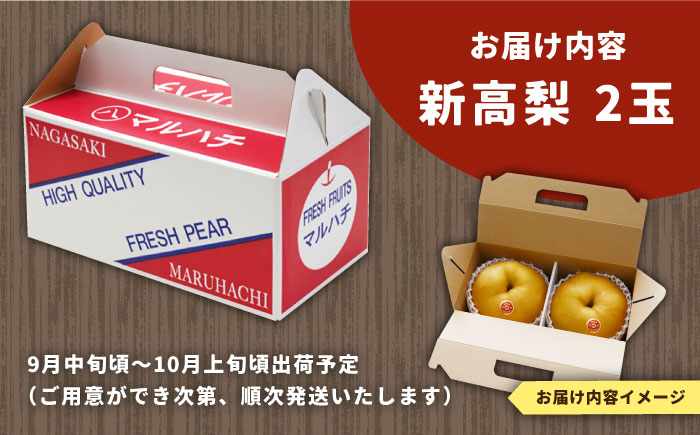 【2025年9月〜発送】【シャリッと食感がたまらない！】新高梨 2玉 / 梨 なし  南島原市 / ふるさと企画 [SBA007]