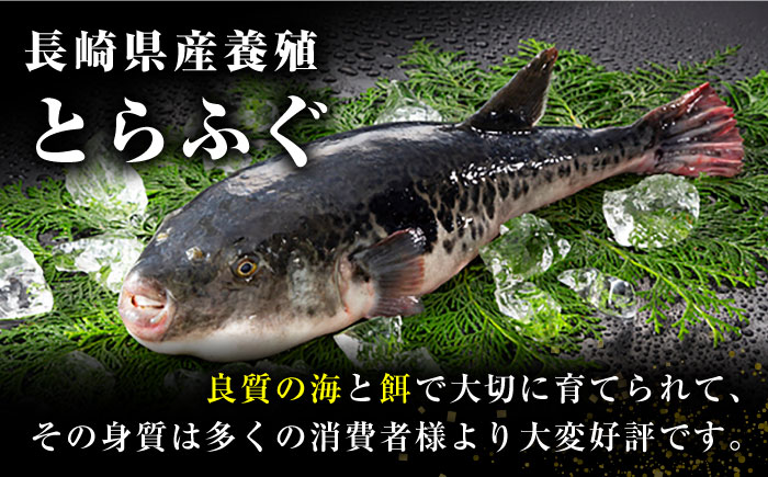 12月31日大晦日にお届け  とらふぐ刺身5人前 / ふぐ ふぐ刺し南島原市 / 大和庵 [SCJ014]