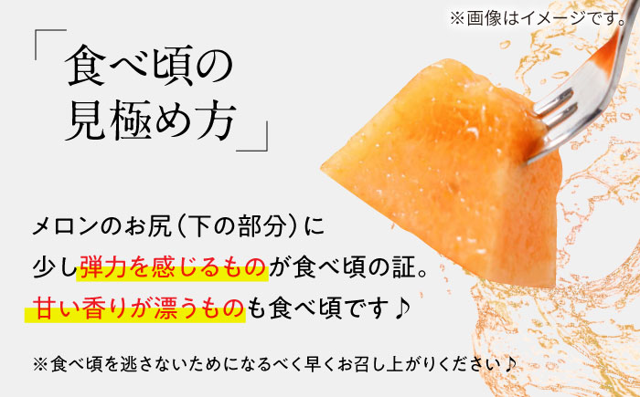 訳あり タカミメロン レッド 1箱 5kg以内 / メロン めろん フルーツ 果物 / 南島原市 / 南島原果物屋 [SCV036]