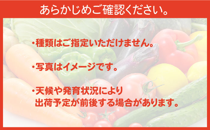 【6回定期便】直売所より発送！お米と季節の野菜セット 8品目 / 米 こめ 白米 野菜定期便 やさい定期便 野菜 やさい 旬 詰め合わせ / 南島原市 / ながさき南部生産組合 [SBW014]