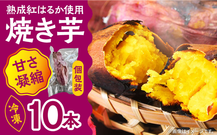 【数量限定】【ねっとり甘い熟成サツマイモ】冷凍焼き芋（紅はるか） 10本(S〜M) / さつまいも やき芋 冷凍 小分け 個包装 / 南島原市 / 池田海陸物産 [SEW002]