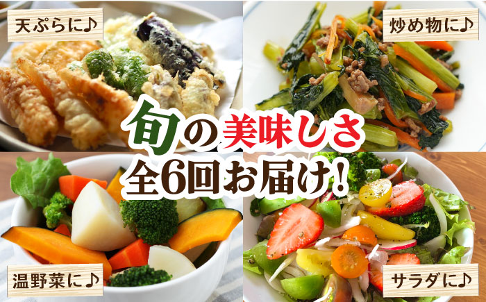 【6回定期便 偶数月コース】野菜定期便 キノコをセット 10品目以上  当日仕入れ当日発送！ / 定期便 野菜 春野菜 夏野菜 秋野菜 冬野菜 旬 きのこ キノコ 産地直送 / 南島原市 / 吉岡青果 [SCZ006]