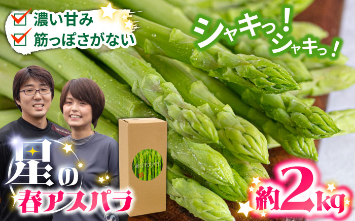 【2026年3月〜発送】【数量限定】【星のアスパラ】厳選 グリーン アスパラガス 約2kg / アスパラ アスパラガス 野菜 / 南島原市 / ほしのYA [SEY002]